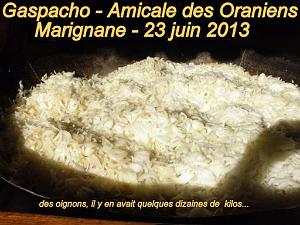 AOBR 2013 06 23 JUIN MARIGNANE-JOURNEE GASPACHO (5)
